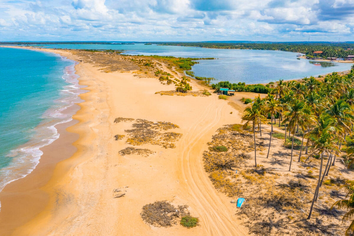 Scenic Sri Lankan Coastline